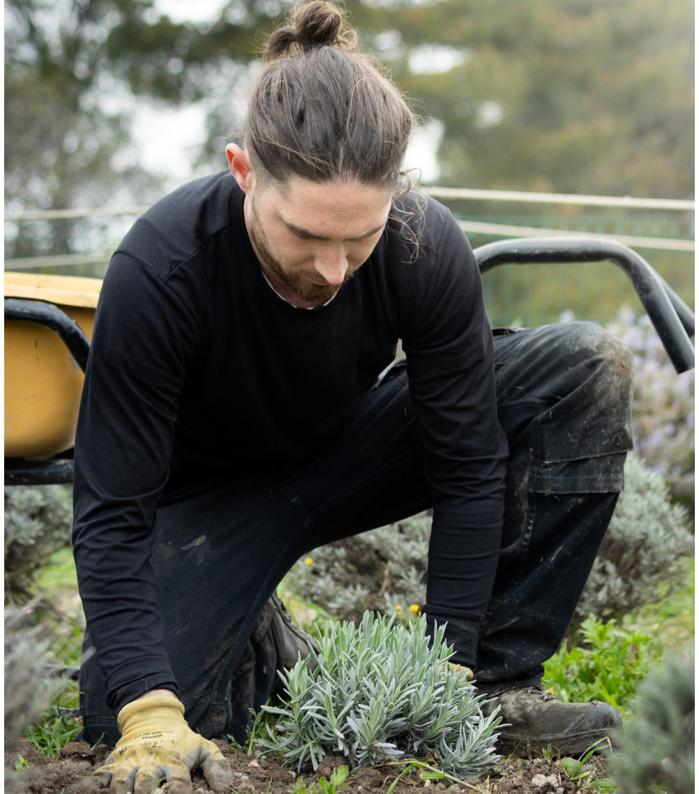 Présentation CominGaïa